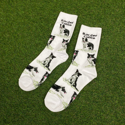 Retro Border Collie Dog Socks White UK12-8