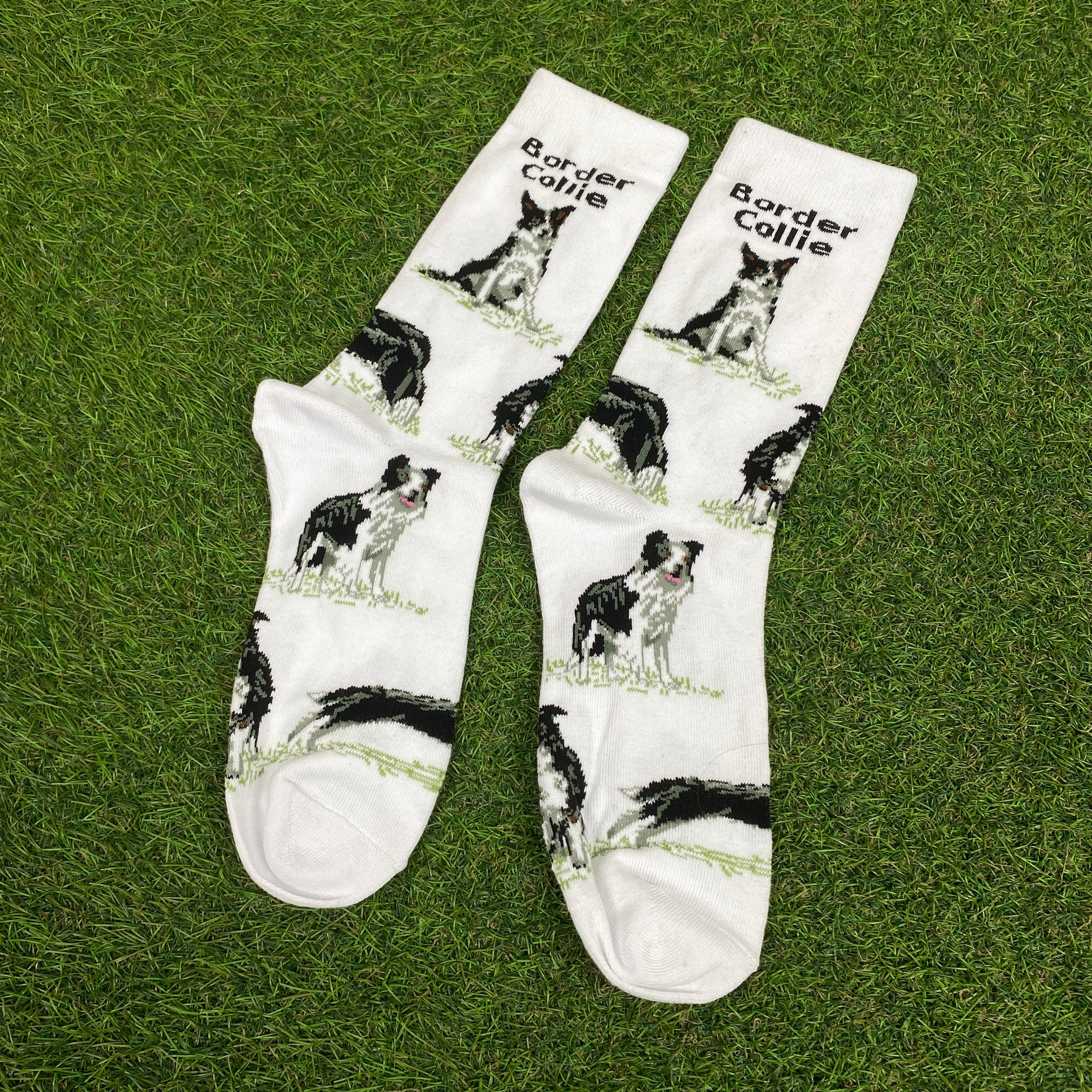 Retro Border Collie Dog Socks White UK12-8