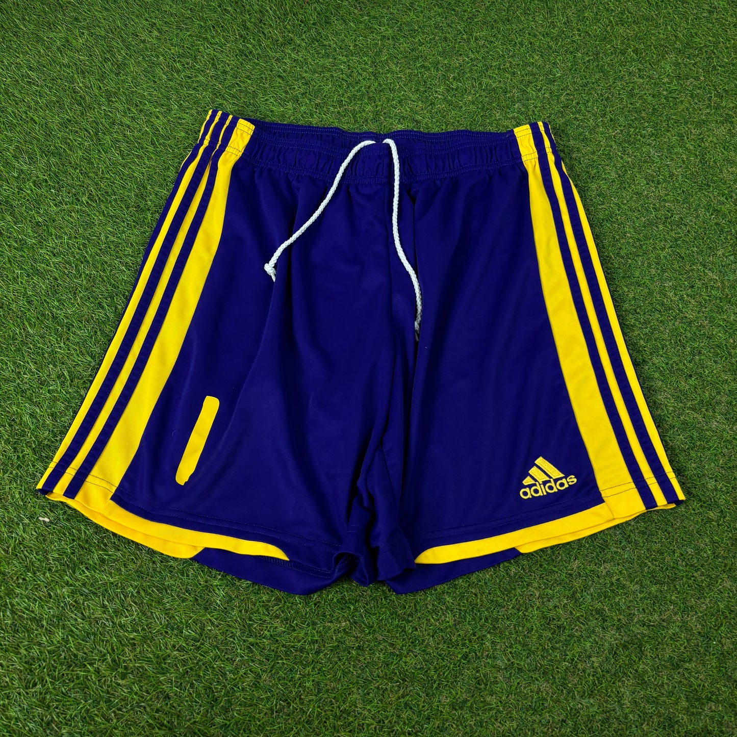 00s Adidas Shiny Shorts Purple XL