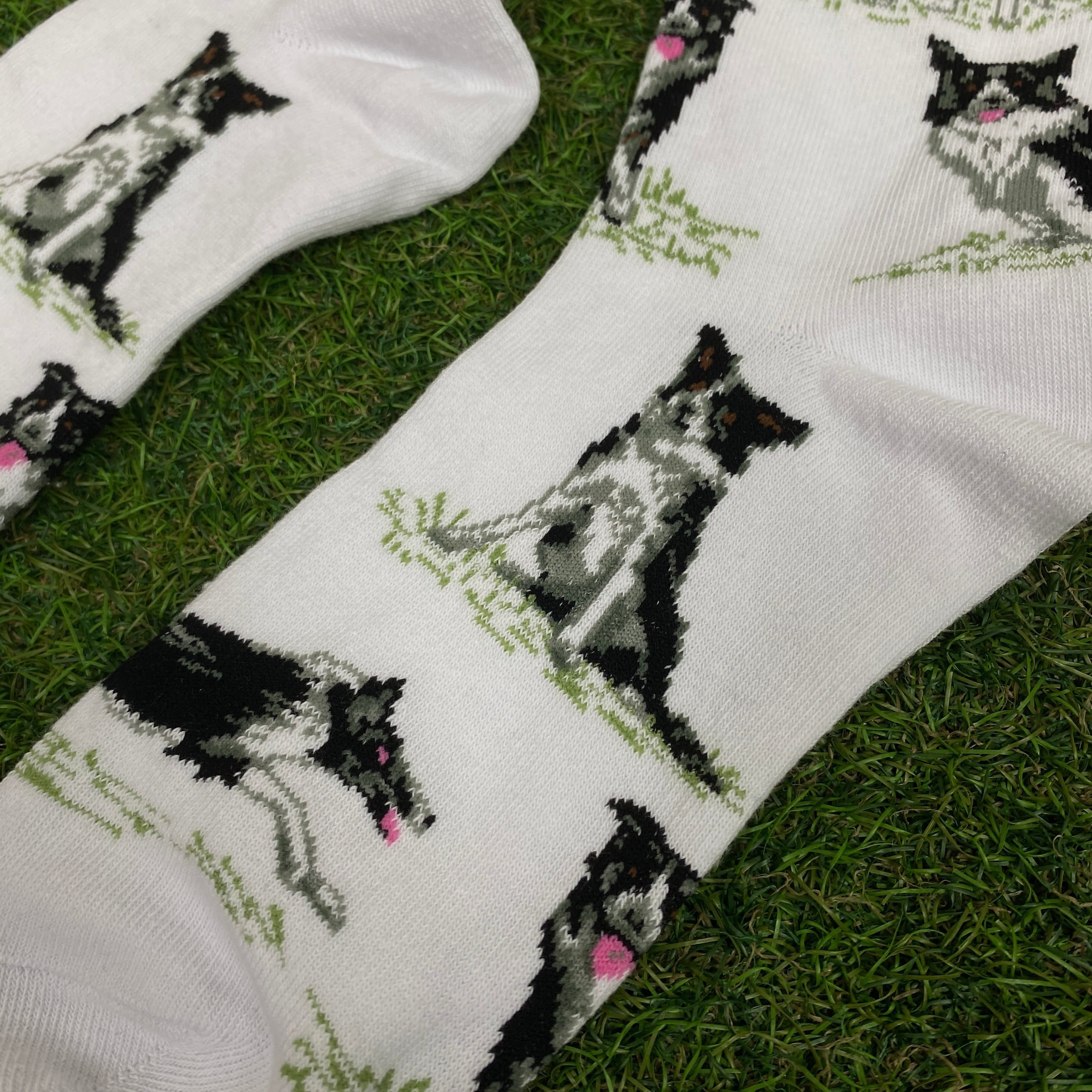 Retro Border Collie Dog Socks White UK12-8