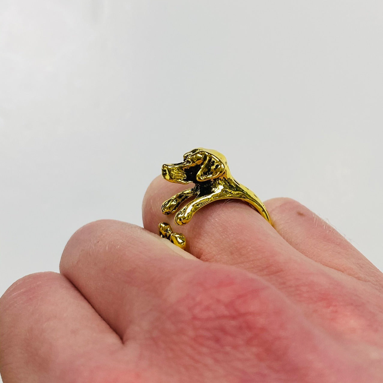 Adjustable Dog Ring Gold